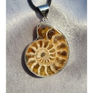 RARE Ammolite Fossil Pendant Marine Jewelry Beautiful